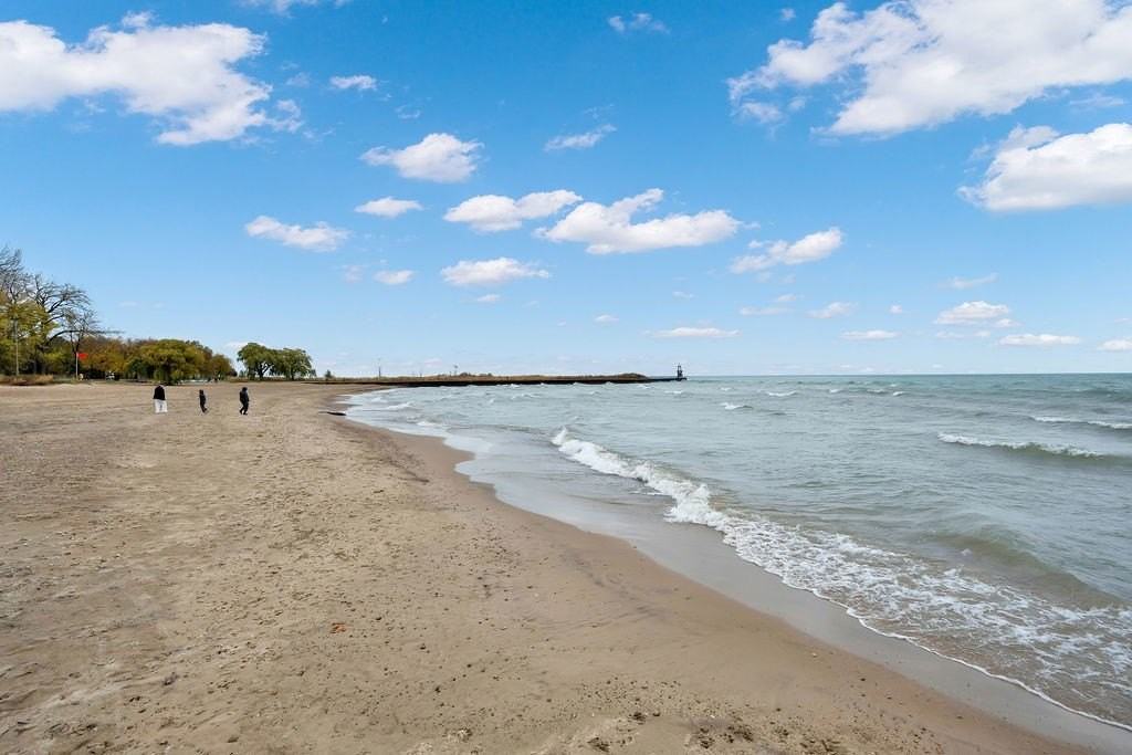 1121 W Columbia Ave Apt 2f #2F - Photo 4 of 42