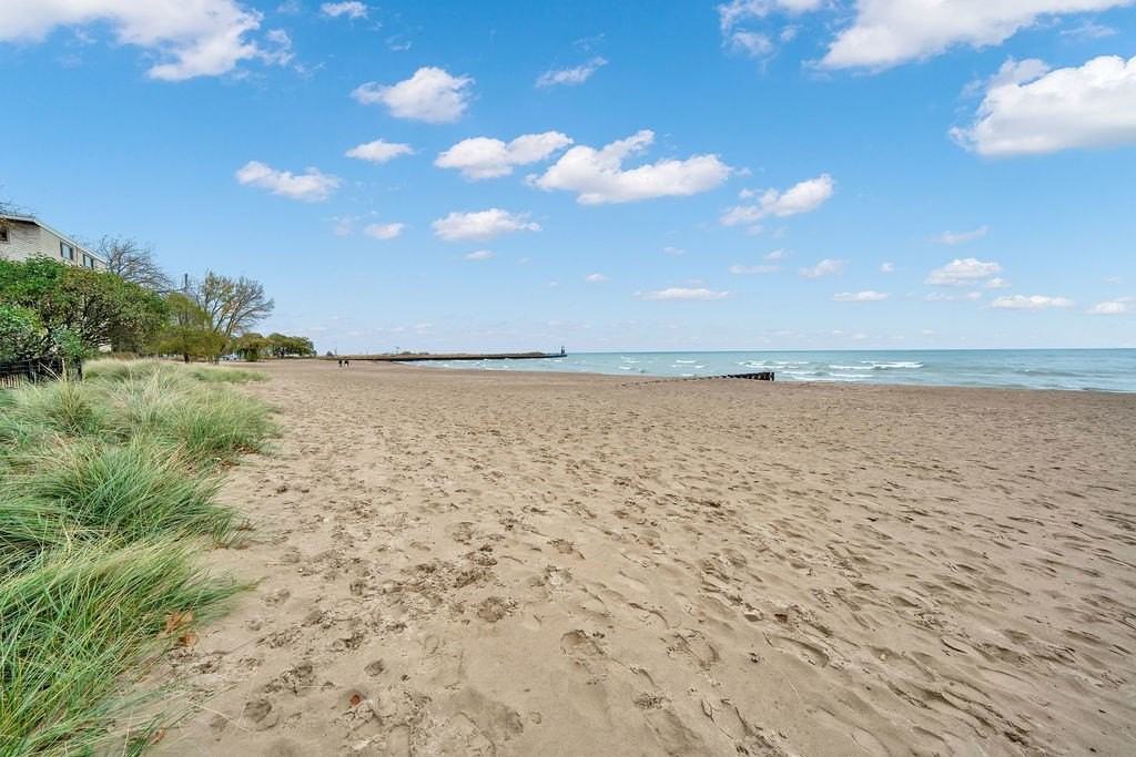 1121 W Columbia Ave Apt 2f #2F - Photo 6 of 42