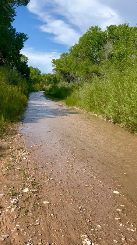 28 Nm #A - Photo 2 of 11