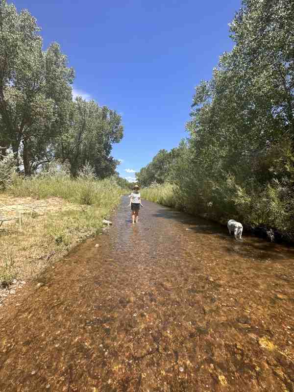 28 Nm #A - Photo 5 of 11