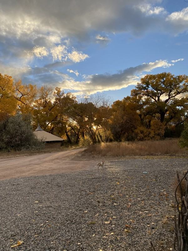 28 Nm #D - Photo 5 of 13