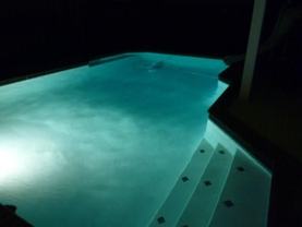 237 Bricknell Ln #237 - Photo 1 of 1