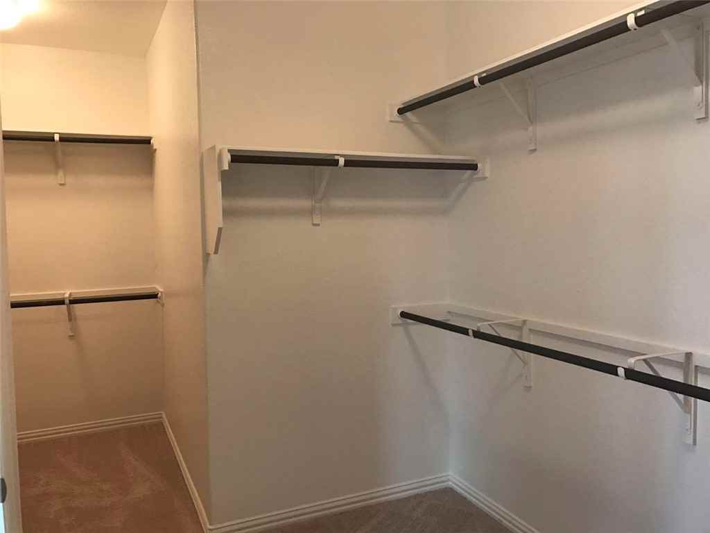 100 Star Jasmine Cv #100 - Photo 3 of 17