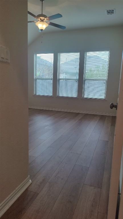 100 Star Jasmine Cv #100 - Photo 4 of 17