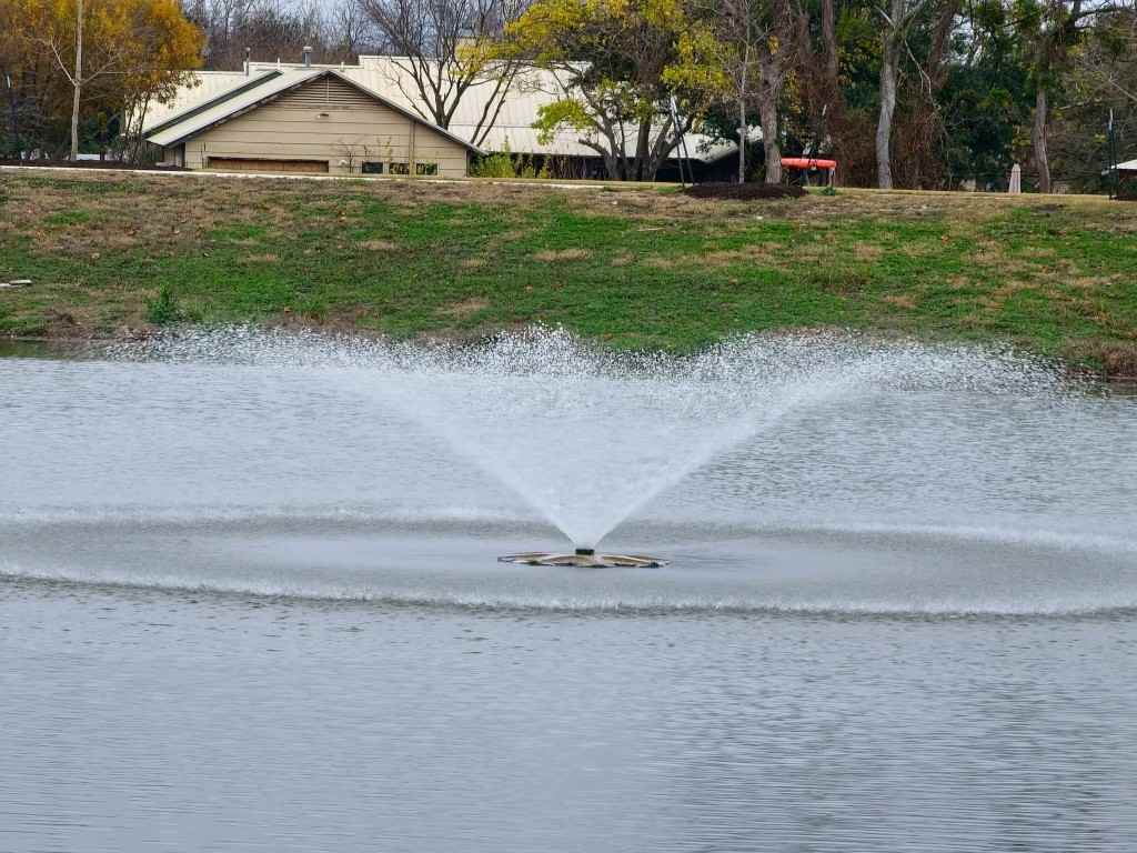 2402 Amara Levi Ln #2402 - Photo 6 of 35