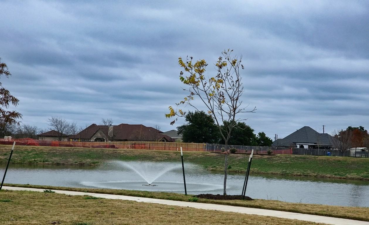 2402 Amara Levi Ln #2402 - Photo 7 of 35