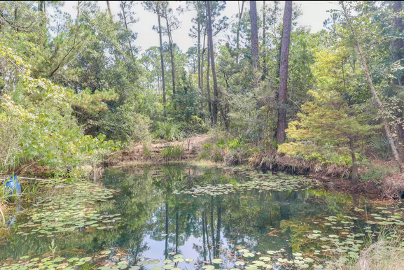 589 Benard St #C - Photo 7 of 11