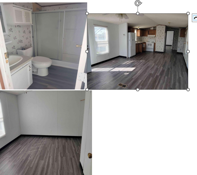 3800 Golder Ave - Photo 4 of 4