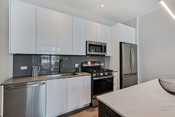 2450 W Armitage Ave - Photo 3 of 16