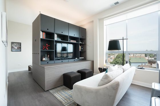 2450 W Armitage Ave - Photo 6 of 16