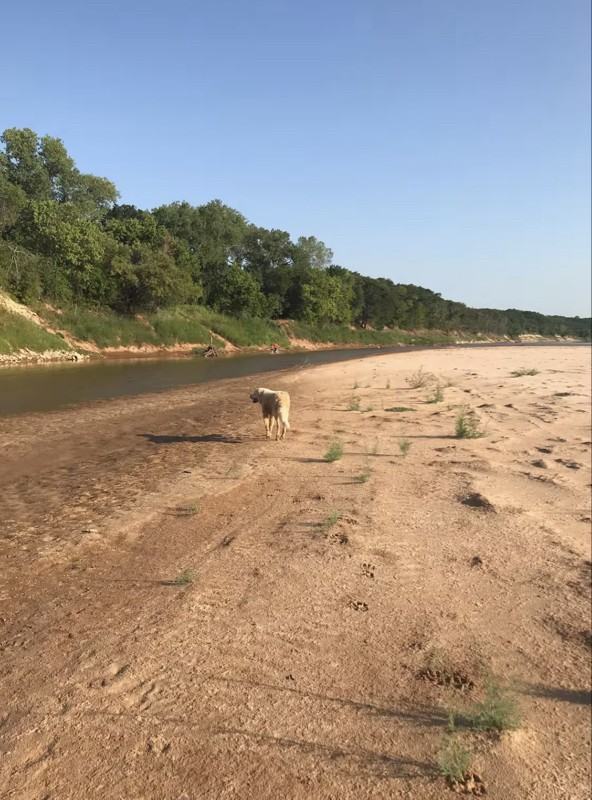 4455 Country Rd - Photo 2 of 10