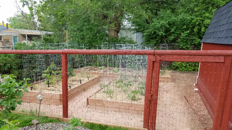 3900 Dover St - Photo 4 of 19