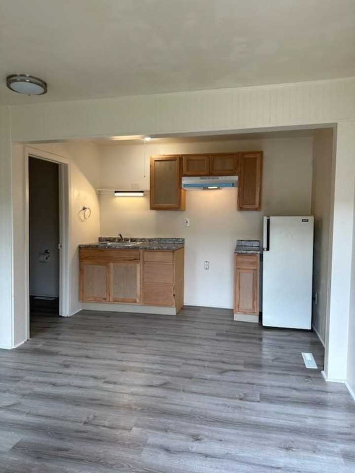 RENT SUX - 110 ALDERSON STREET - Photo 7 of 8