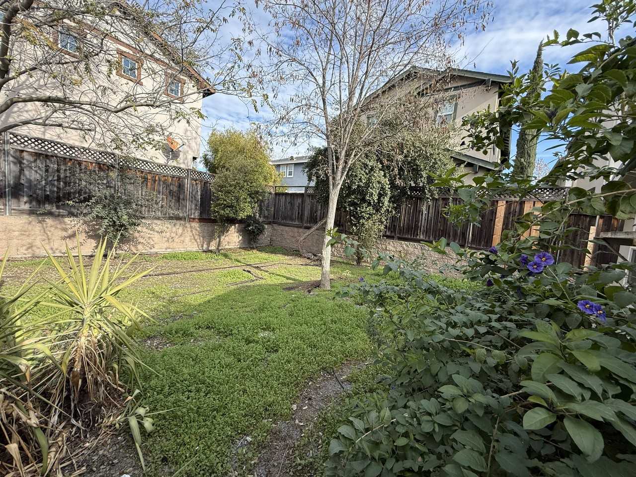 2875 Euclid Ave #B - Photo 3 of 3