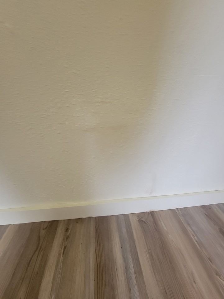 207 Hickory Ave #NA - Photo 2 of 7