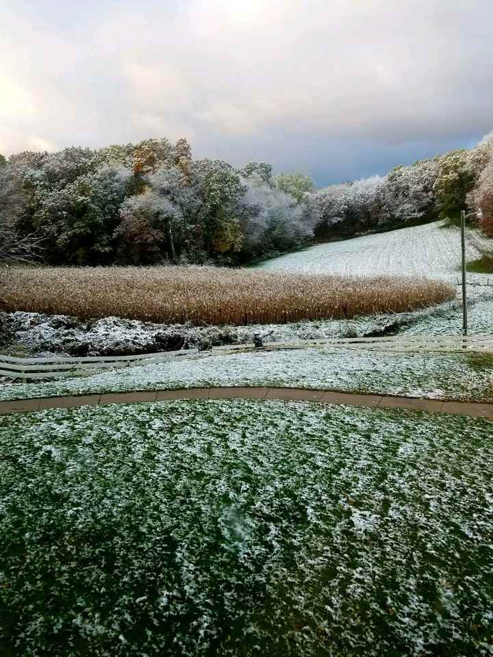 W14242 Hein Ln #NA - Photo 2 of 19