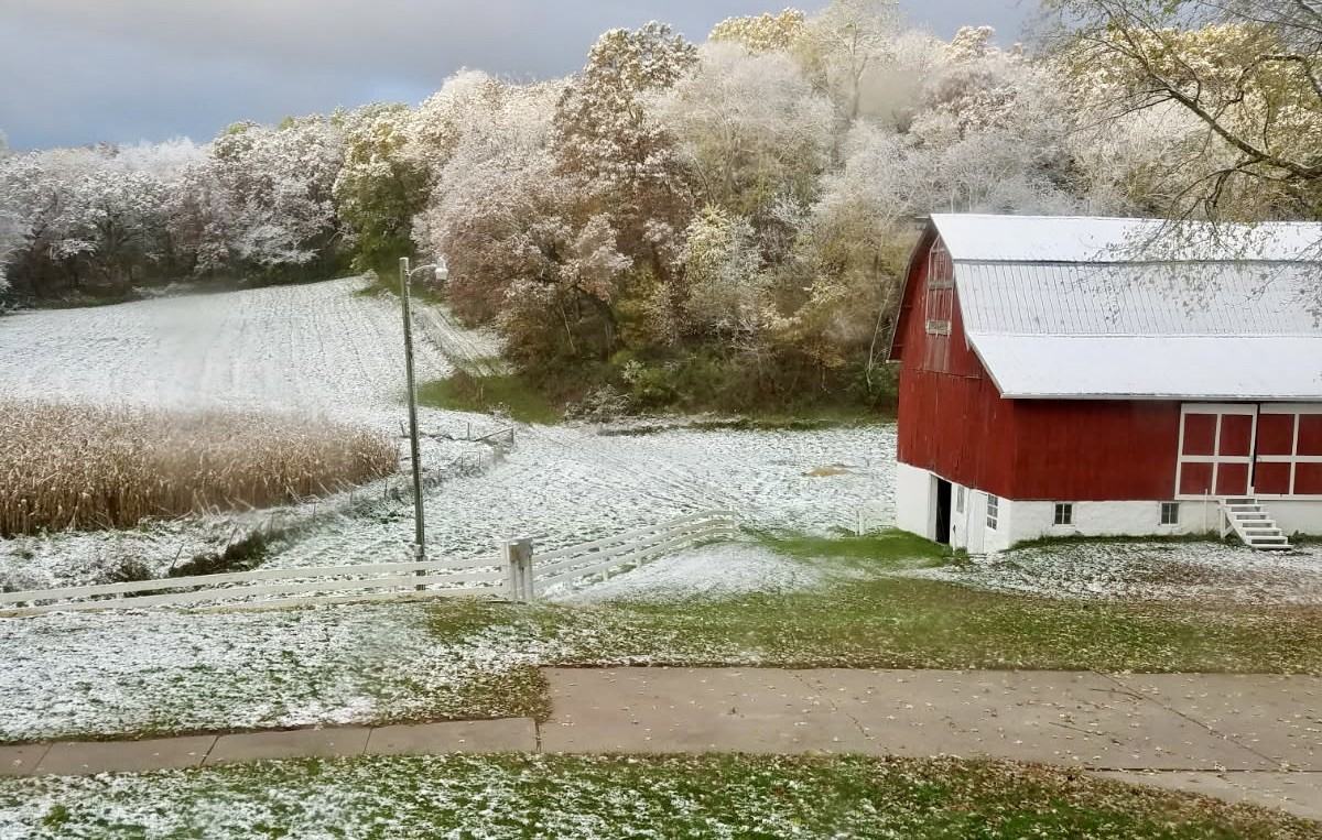 W14242 Hein Ln #NA - Photo 4 of 19