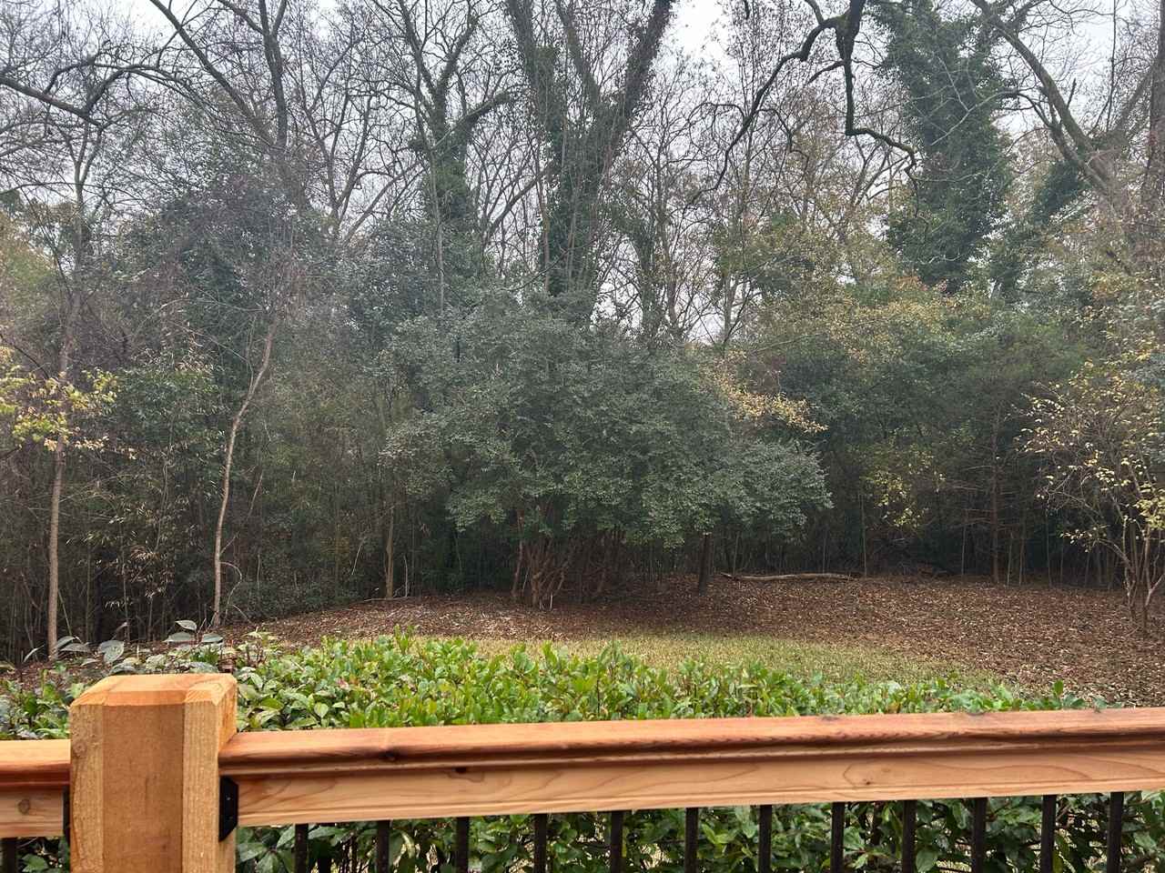 1679 S Milledge Ave #1 - Photo 7 of 35