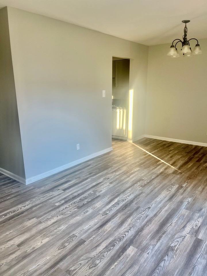 314 Clay St - Photo 7 of 15