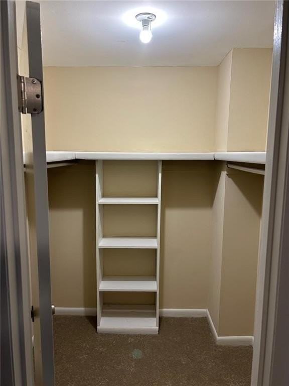 4829 Woodhurst Way - Photo 7 of 14