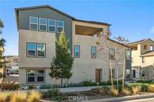 featured image of 466 Lobata