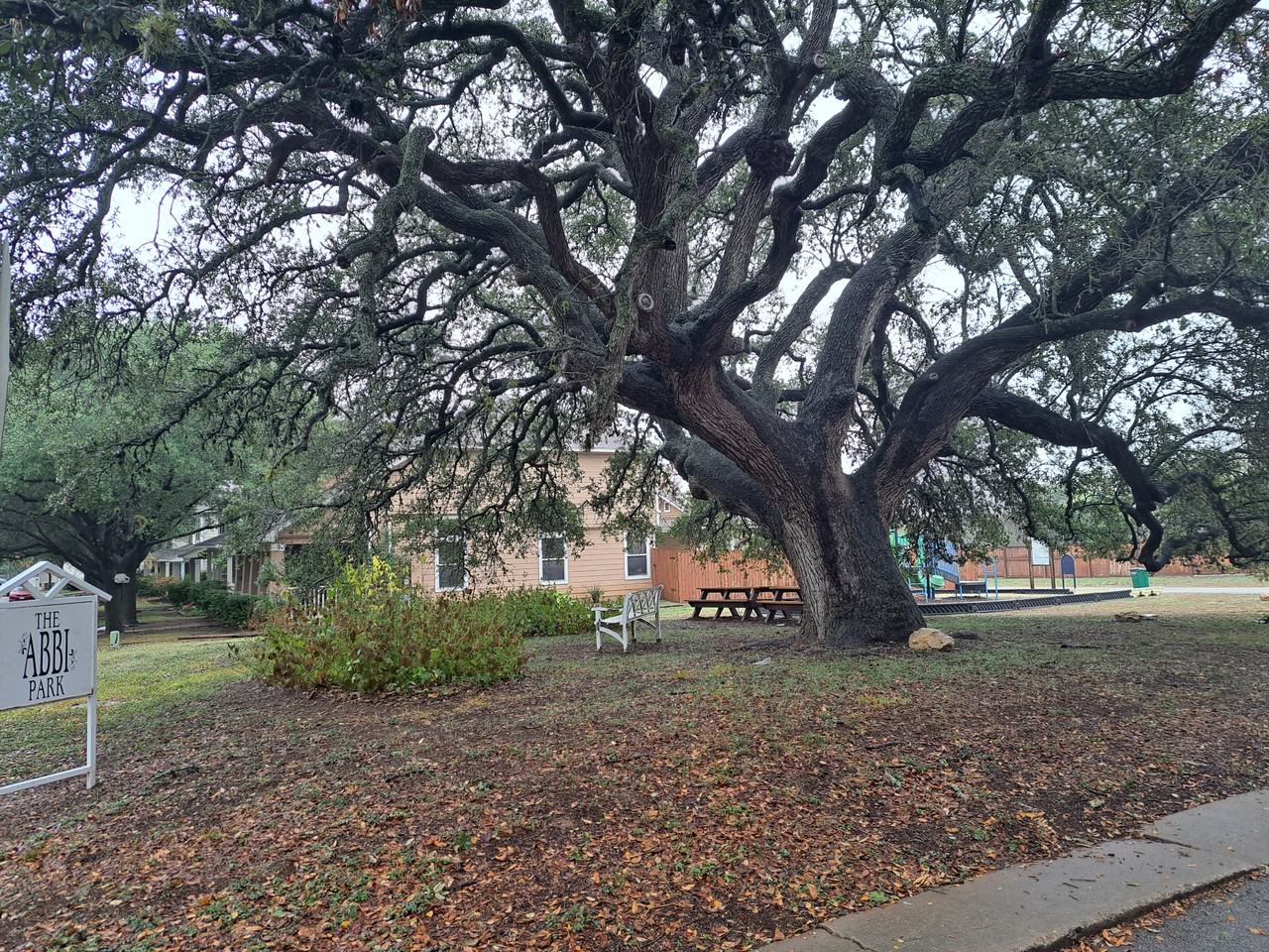 2205 Melissa Oaks Ln #1 - Photo 4 of 15