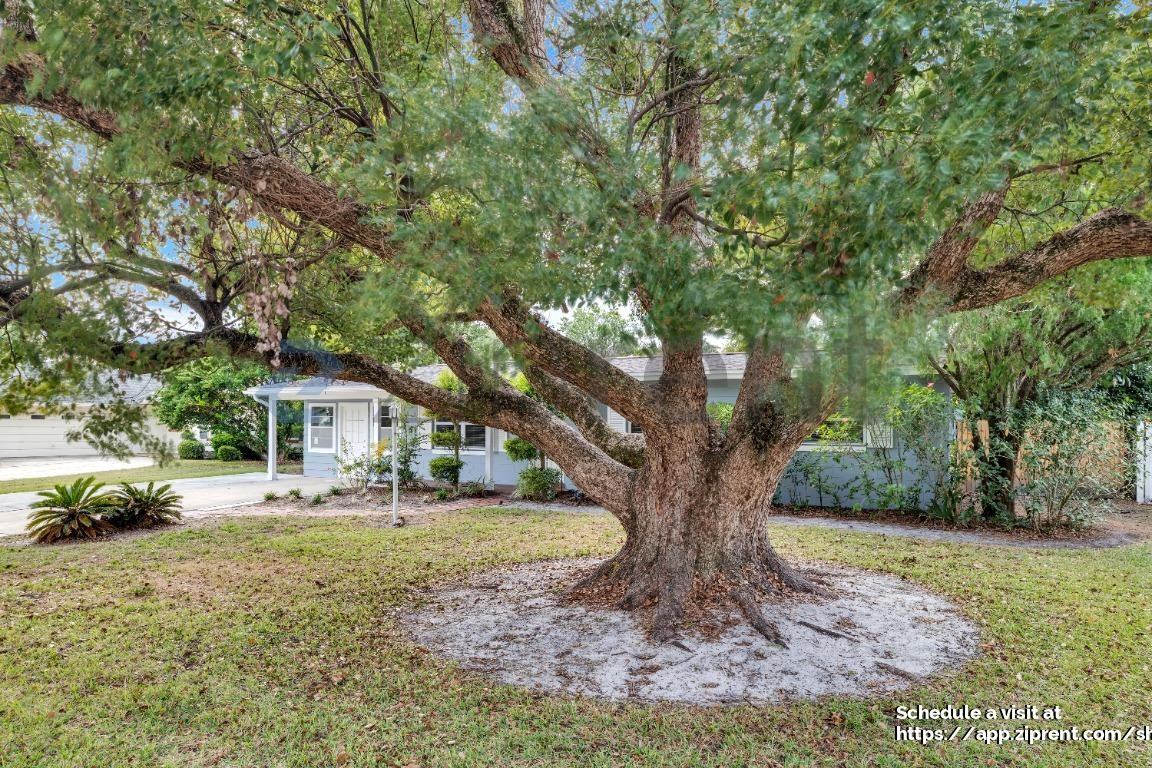 803 Ellendale Dr - Photo 4 of 31