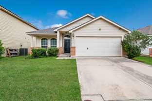 8611 Spotted Owl - Photo 1 of 1