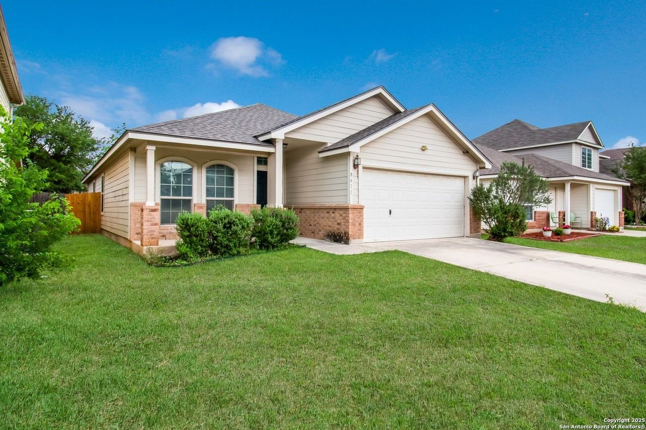 8611 Spotted Owl - Photo 2 of 16