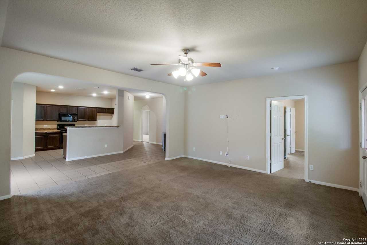 8611 Spotted Owl - Photo 3 of 16