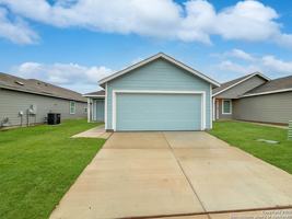 featured image of 407 Indian Blossom