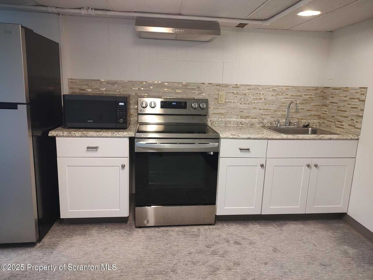 136 Chestnut Street unit: Basement - Photo 2 of 22