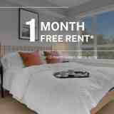 Cascara - Photo 1 of 1