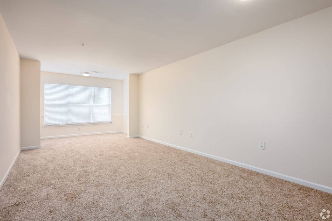 Rise Crown View - Photo 3 of 19