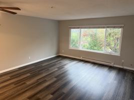 featured image of 7394 Boris Ct