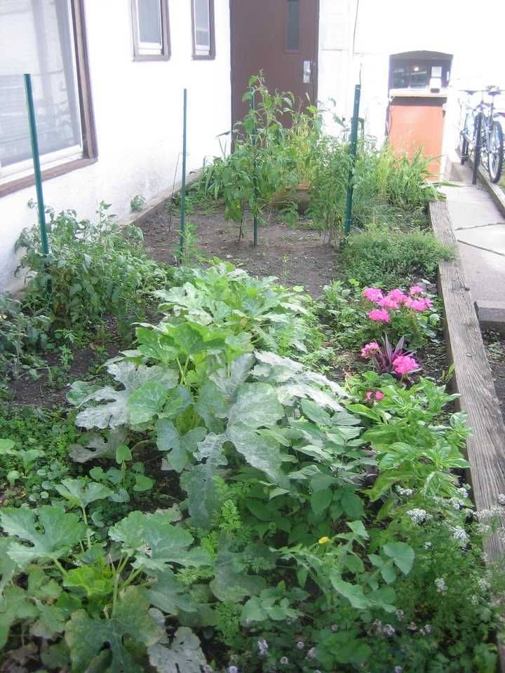 580 Holly Avenue #8 - Photo 5 of 23