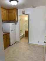 Laine (222) - Photo 1 of 1