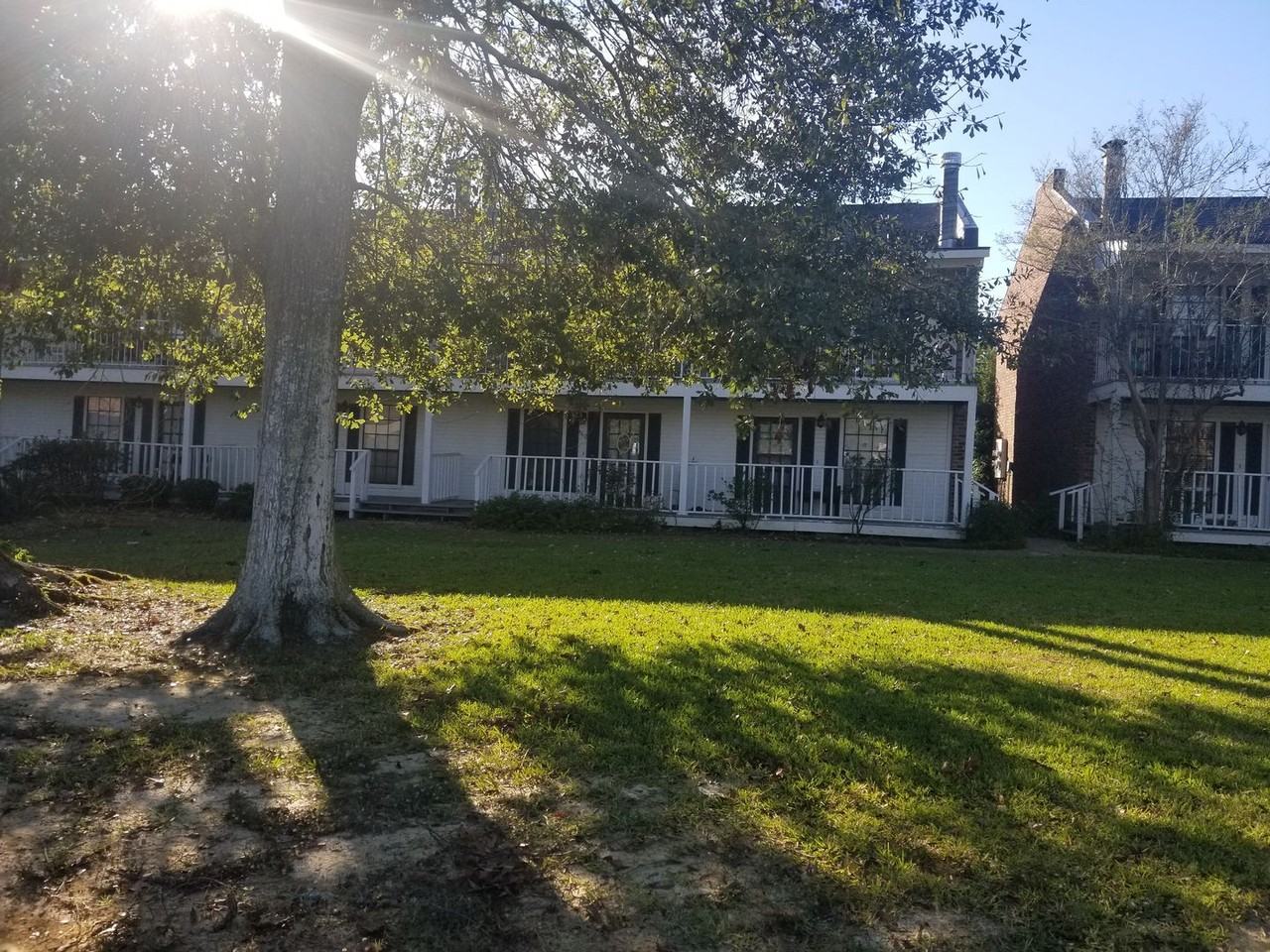 4374 Stumberg Ln - Photo 3 of 17