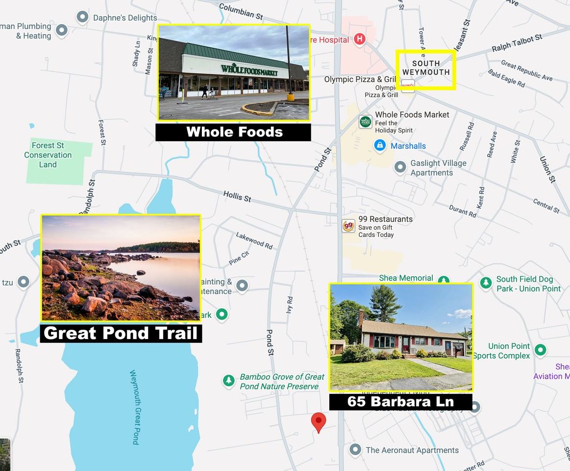 65 Barbara Ln #65 - Photo 3 of 23