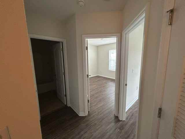 1631 Primo Ct - Photo 7 of 15