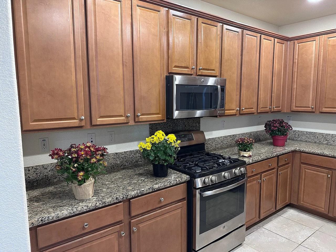 717 N Dorato Ln #NA - Photo 3 of 13