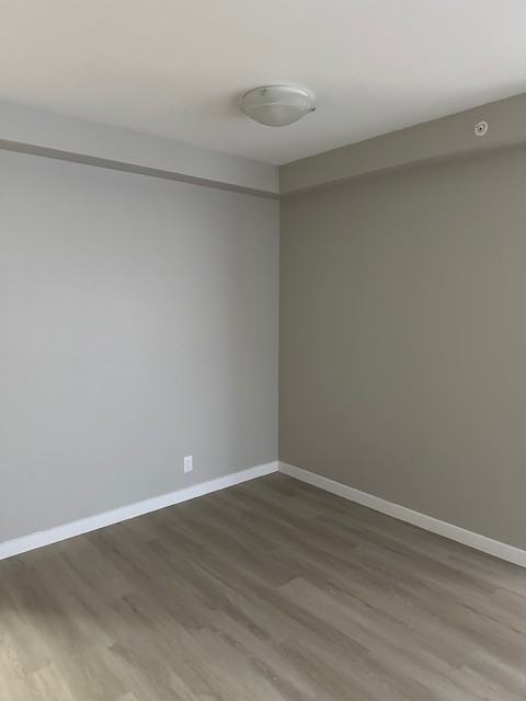 1010 View St #302 - Photo 5 of 10