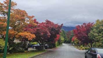 featured image of 736 Alpine Court