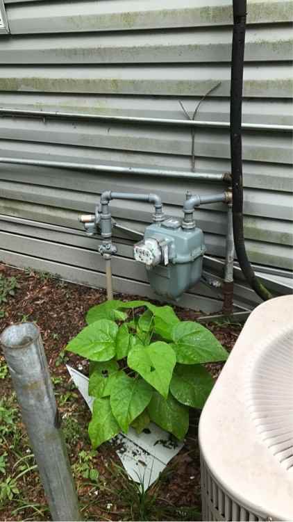 613 Wilmuth St #1 - Photo 4 of 4