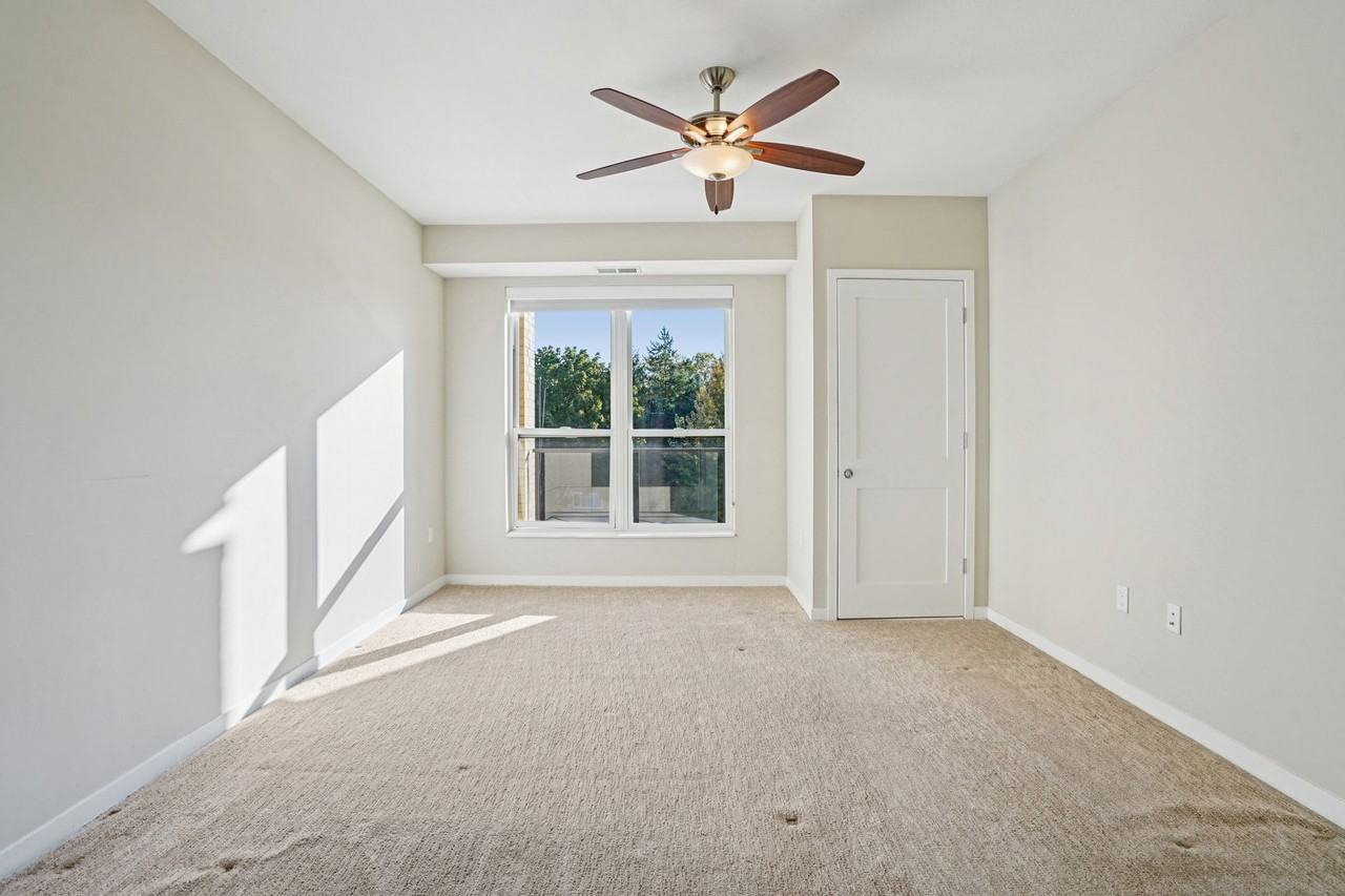 Linden43 - Photo 5 of 46