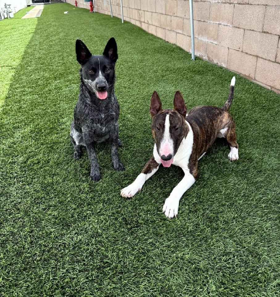 Chateau de Ville - Photo 6 of 50