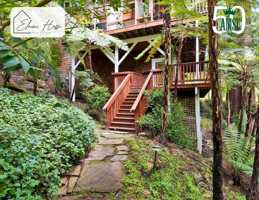 featured image of 12 Molino Ave