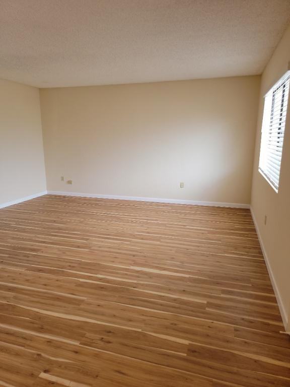 439 7th St - Photo 4 of 24