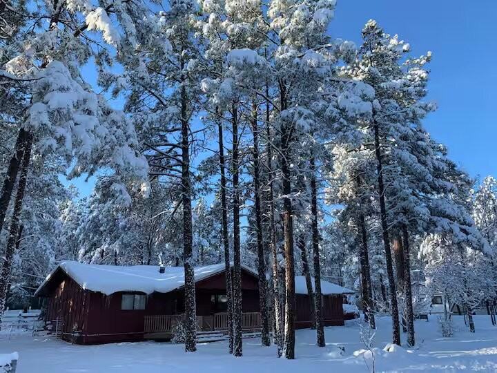 2957 Autumn Dr - Photo 3 of 18