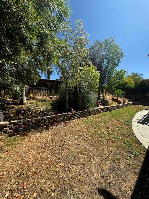 36604 Bay Hill Dr - Photo 3 of 18